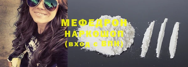 крисы Бородино