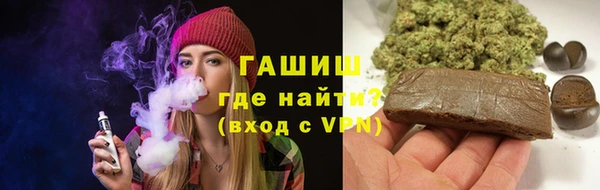 крисы Бородино