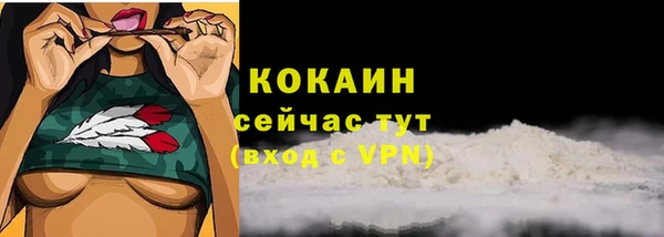 прущие крисы Богданович