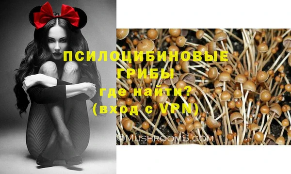 крисы Бородино