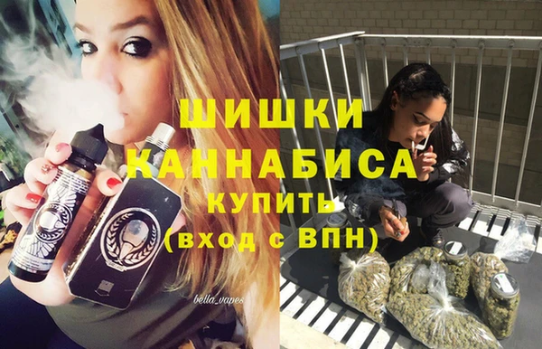 крисы Бородино