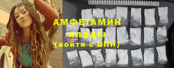 крисы Бородино