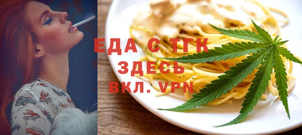 крисы Бородино