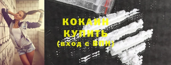 крисы Бородино