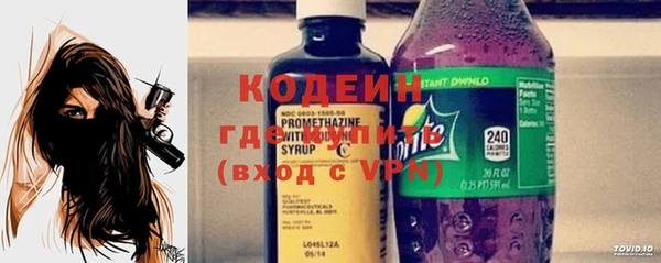 крисы Бородино